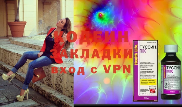 шишки Переславль-Залесский
