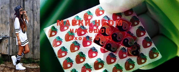 дмт Пересвет